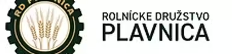 RD Plavnica